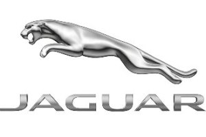 india-Jaguar-Brand-logo